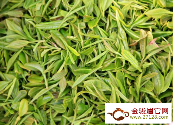  海青绿茶多少钱一斤 2020海青茶的功效及最新价格介绍