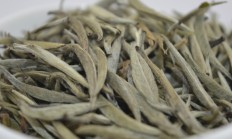 梅州白毫银针茶园(福州这片茶园地，两个特点：茶树苍翠，游客不多，茶叶品质好)